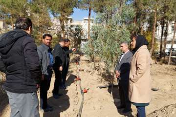 اجرای سیستم آبیاری تحت فشار قطره ای فضای سبز